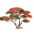Modeling Rhododendron Old Pile Modeling Tree Shrub 3d model