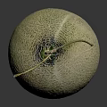 Fresh Round Cantaloupe with Green Netted Texture and Stem on Black Background 3d model