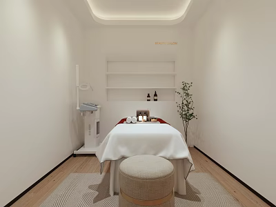 Serene SPA Room Interior With Massage Bed White Sheets Wooden Floor Shelves And Green Plant 3d model