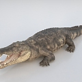 Modern Crocodile 3d model