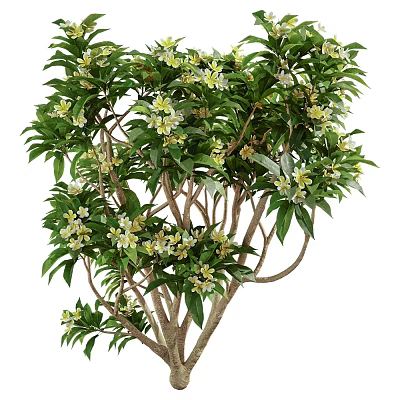 Lush Arbor with Green Leaves and White Flowers in Full Bloom 3d model