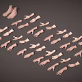 Array of Diverse Hands in Various Poses Arranged Neatly on Gray Background