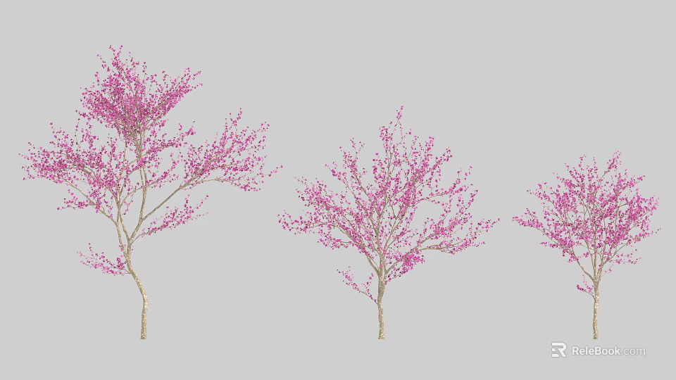 Ornamental Arbor Trees With Pink Spring Blossoms For Garden Landscaping 3d model 