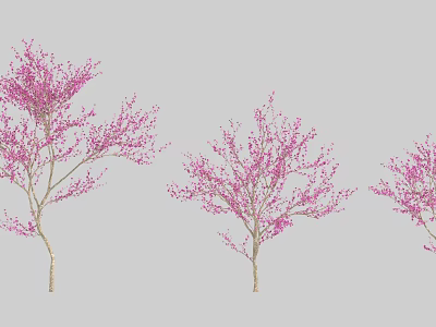 Ornamental Arbor Trees With Pink Spring Blossoms For Garden Landscaping 3d model