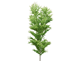 green plant big tree 3d model