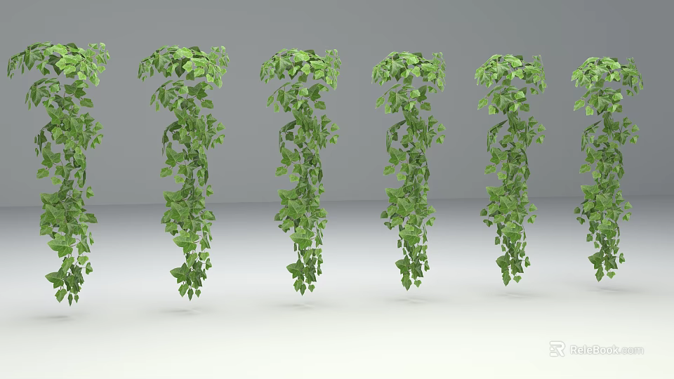 Lush Green Trailing Vines With Leaves For Interior Home Decor Design 3d model 
