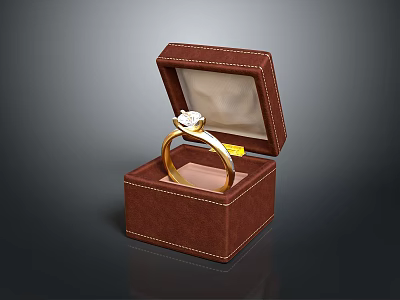 Open Brown Leather Box Holding Gold Diamond Ring For Daily Use 3d model