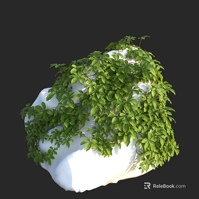Lush Green Climbing Vines With Dense Leaves Growing On White Structure 3d model