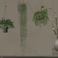 Various Lush Green Hanging Plants in Modern Planters for Indoor Decor