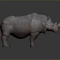 Realistic Large Rhino Model With Thick Textured Skin And Single Horn Standing On Gray Background