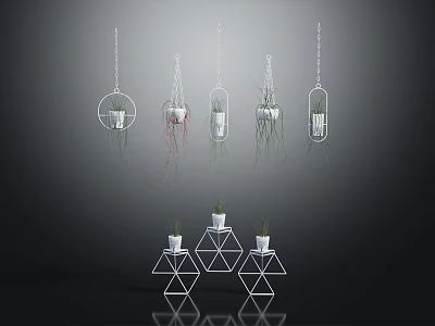 Indoor Hanging Plants In Geometric Planters With Modern Decorative Stands 3d model