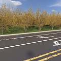 Country road trees cherry trees golden leaf elm rose road aerial view 3d model