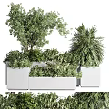 Various Green Plants Growing In Gray Planters With Different Heights Trees And Shrubs