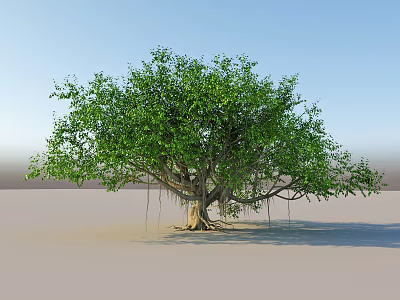 Tall Arbor With Lush Green Leaves Thick Trunk And Visible Roots Against Blue Sky 3d model