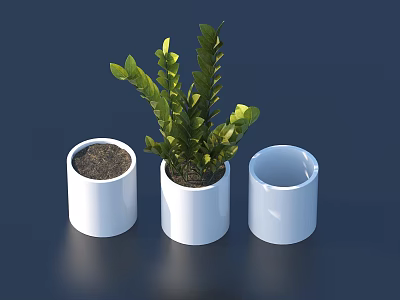 Green Bonsai Potted Plant In White Cylindrical Pot With Two Containers 3d model