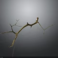 Natural Wood Branch With Mossy Texture For Rustic Home Decoration