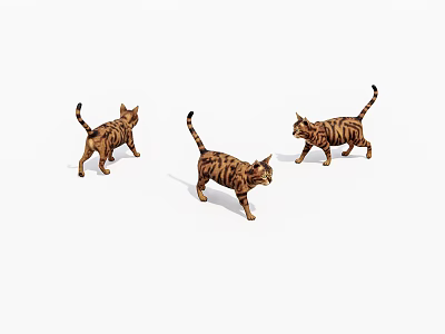 Three Adorable Tiger Striped Cats Walking Together On White Background 3d model