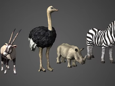 Different Reptile Species Such As Lizards Snakes And Turtles In Natural Environment 3d model