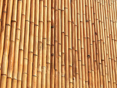 Natural Bamboo Background Wall with Vertical Strips and Warm Wooden Texture 3d model