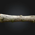 Natural Stone and Wood Log Featuring Textured Surface and Knots on Black Background