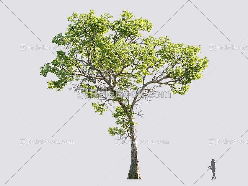 Tree 3d model