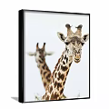 Stunning Giraffe Animal Painting Featuring Two Giraffes in Front and Background Setting