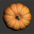 Bright Orange Textured Pumpkin Vegetable With Brown Stem On Gray Background Surface 3d model