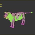 Modern Tiger White Tiger Fierce Tiger 3d model