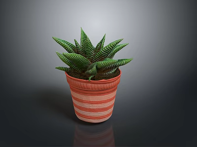 Green Leafy Succulent Plant in Striped Terracotta Pot Against Dark Background 3d model