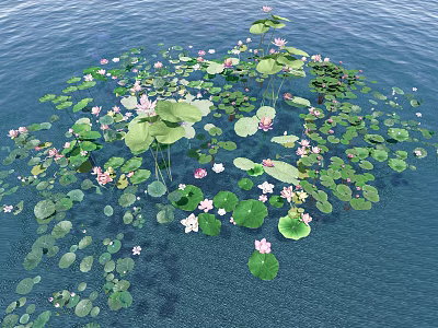 Vibrant Aquatic Plants Featuring Green Lily Pads And Pink Lotus Flowers Floating On Water 3d model