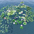 Vibrant Aquatic Plants Featuring Green Lily Pads And Pink Lotus Flowers Floating On Water