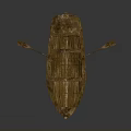 Traditional Wooden Boat As Classic Water Transport With Oars And Handcrafted Design