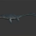 Realistic Prehistoric Ichthyosaur Marine Reptile With Open Mouth Sharp Teeth Long Tail And Flippers