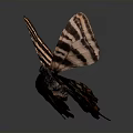 Beautiful Butterfly With Striped Brown And Orange Wings In Flight Against Dark Background With Reflection