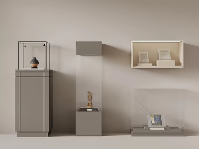 Various Modern Display Cabinets With Glass Fronts Showcasing Artifacts And Books 3d model