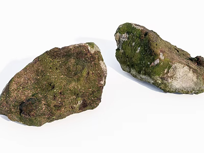 Natural Stone and Wood Elements with Green Moss Covered Surfaces in Natural Setting 3d model