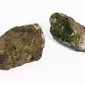 Natural Stone and Wood Elements with Green Moss Covered Surfaces in Natural Setting
