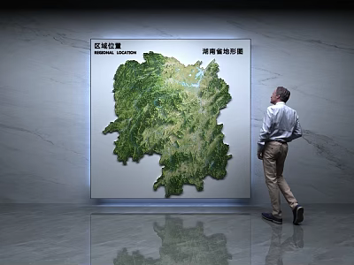 Wall Decor Green Regional Map with Clear Mountain Terrain on Marble Wall Man Viewing 3d model