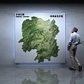 Wall Decor Green Regional Map with Clear Mountain Terrain on Marble Wall Man Viewing