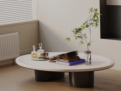 Modern Minimalist Sofa Coffee Table Set With White Round Table Books Bottles And Green Plant 3d model
