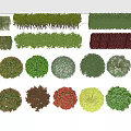 Various Types of Shrubs in Different Shapes and Colors for Landscape Design