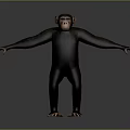 Realistic 3D Chimpanzee Standing With Outstretched Arms On Gray Background