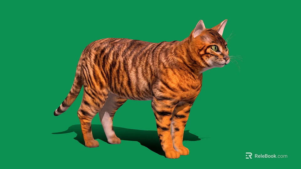 Tabby Cat Standing With Striped Fur Yellow Eyes On Green Background 3d model 