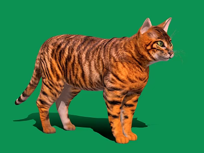 Tabby Cat Standing With Striped Fur Yellow Eyes On Green Background 3d model