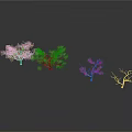 Various Trees In Different Growth States With Green Foliage And Bare Branches Scene