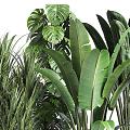 Modern Green Plant Potted Plant Potted Plant Outdoor Plant Big Leaf Plant 3d model