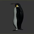 Emperor Penguin Standing In Gray Background With Shiny Reflective Surface And Yellow Neck Patch 3d model