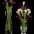 Transparent Glass Vases With White And Dark Purple Calla Lilies For Home Decor