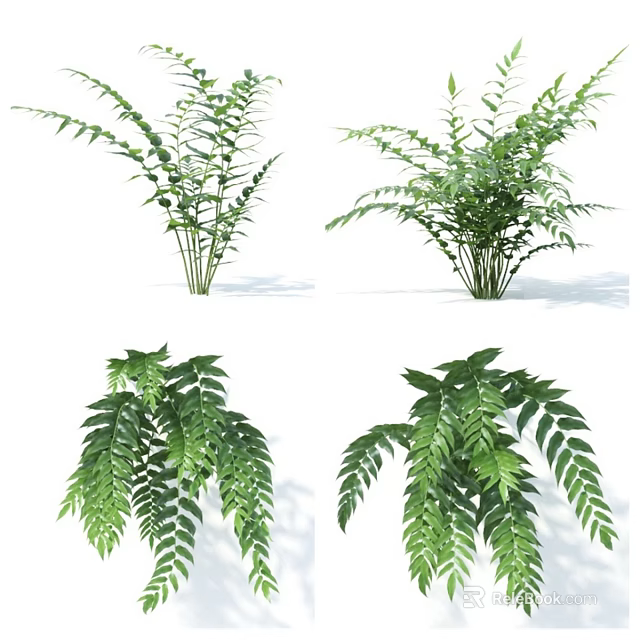 Lush Green Leafy Plants With Different Leaf Shapes And Fresh Foliage 3d model 