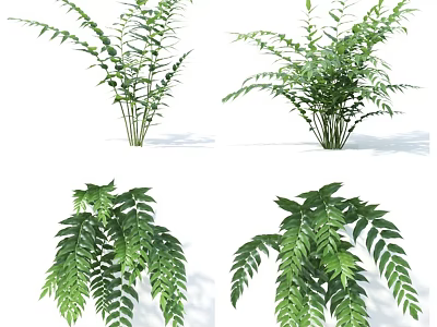 Lush Green Leafy Plants With Different Leaf Shapes And Fresh Foliage 3d model